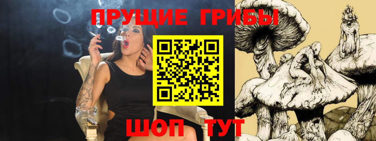 Муром  купить  сайты  Вход с VPN  Галлюциногенные грибы Psilocybine cubensis 