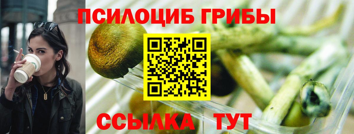 Псилоцибиновые грибы Cubensis Муром